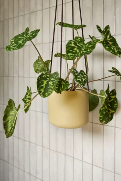 Hængekrukker Og Ophæng^PLANT Bloom hængekrukke, sand ø25