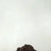 Jord Og Omplantning|Bonsai^PLANT Bonsai jord