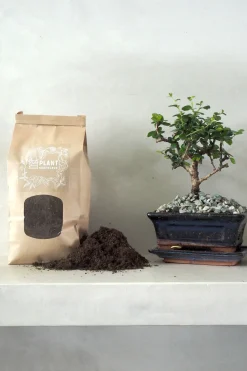 Jord Og Omplantning|Bonsai^PLANT Bonsai jord