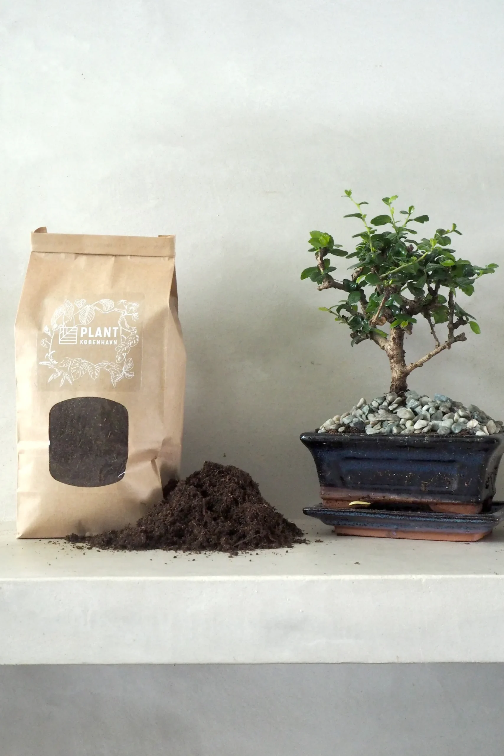 Jord Og Omplantning|Bonsai^PLANT Bonsai jord