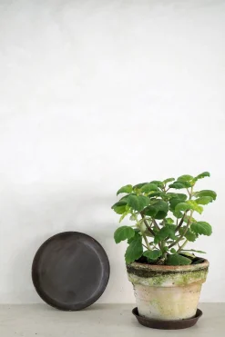 Underskåle^PLANT Brun underskål