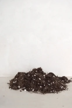 Plantepleje-Kits|Plantepleje-Kits^PLANT Bundle : Essential omning