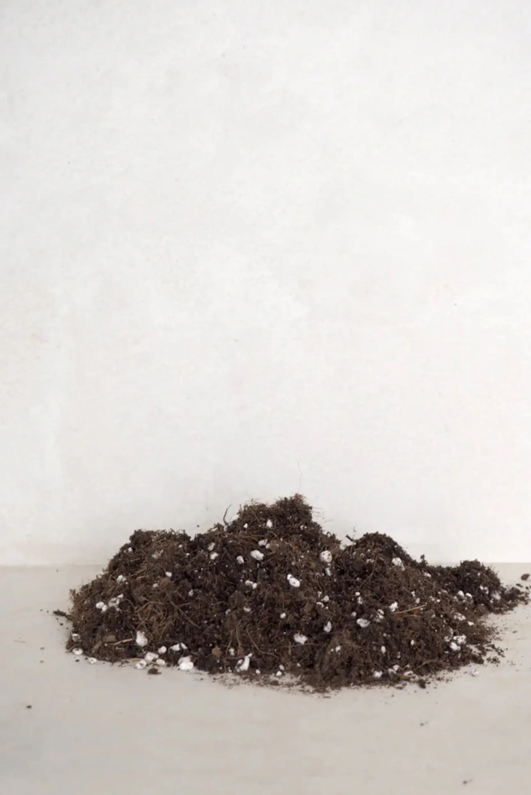 Plantepleje-Kits|Plantepleje-Kits^PLANT Bundle : Essential omning