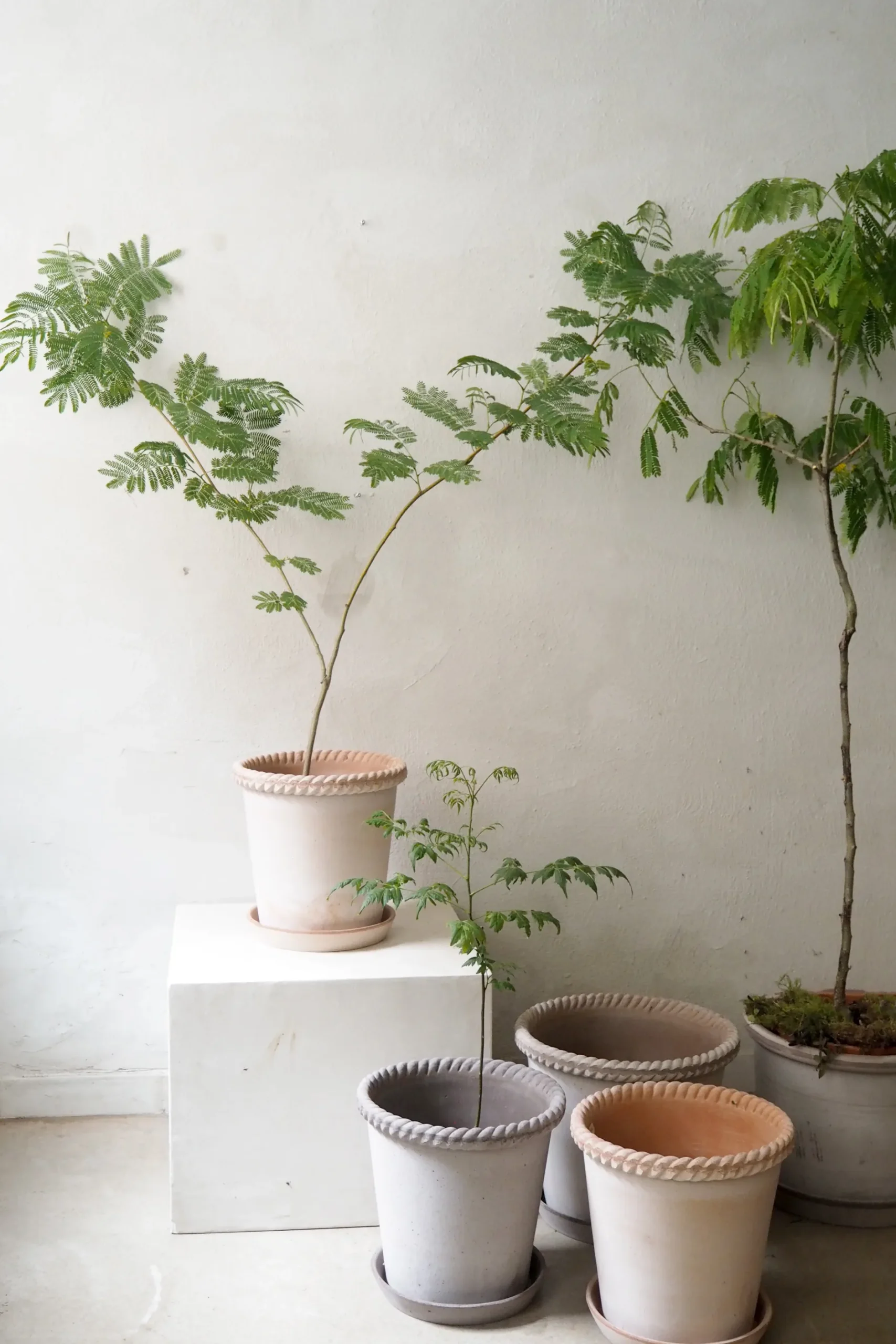 Terrakotta-Krukker|Stor^PLANT Emilia krukke, raw grey