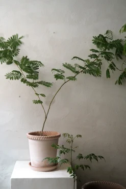 Terrakotta-Krukker|Stor^PLANT Emilia krukke, raw rosa