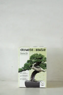 Frø, Spiring Og Altanliv|Bonsai^PLANT Frø - Bonsai, DIY kit