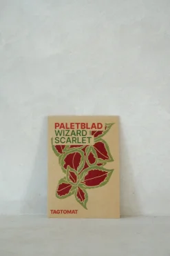 Frø, Spiring Og Altanliv^PLANT Frø - Paletblad, Wizard Scarlet