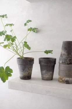 Frø, Spiring Og Altanliv|Terrakotta-Krukker^PLANT Gartnerkrukke, naturlig patina
