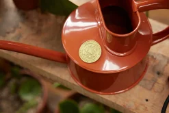 Vandkander^PLANT HAWS Vandkande, terracotta orange, 0,5 L