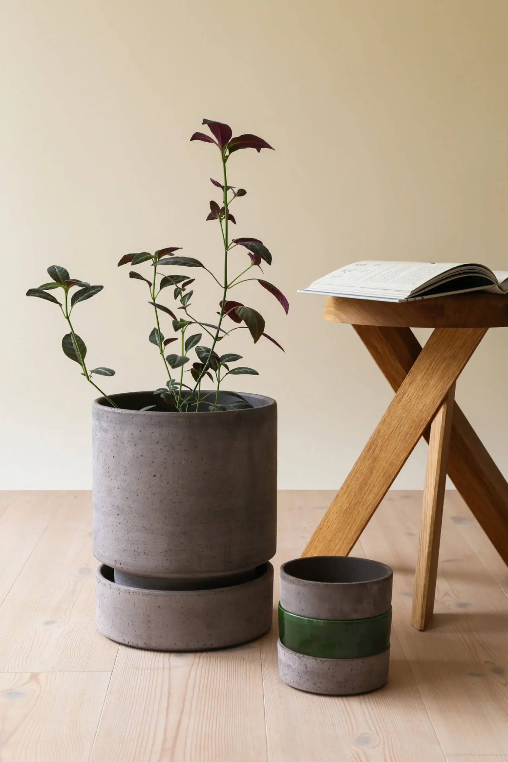Terrakotta-Krukker^PLANT Hoff krukke, raw grey + raw grey underskål, gulvkrukke