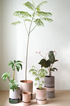 Terrakotta-Krukker|Stor^PLANT Hoff krukke, raw grey + raw rosa underskål, gulvkrukke