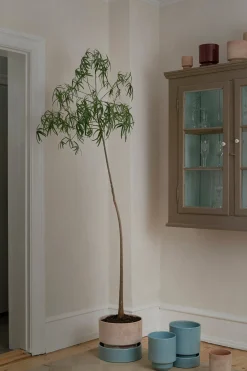 Terrakotta-Krukker|Hoff Krukke Serien^PLANT Hoff krukke, raw rosa
