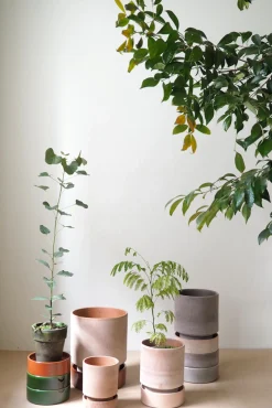Underskåle|Hoff Krukke Serien^PLANT Hoff krukke, raw rosa + grøn underskål