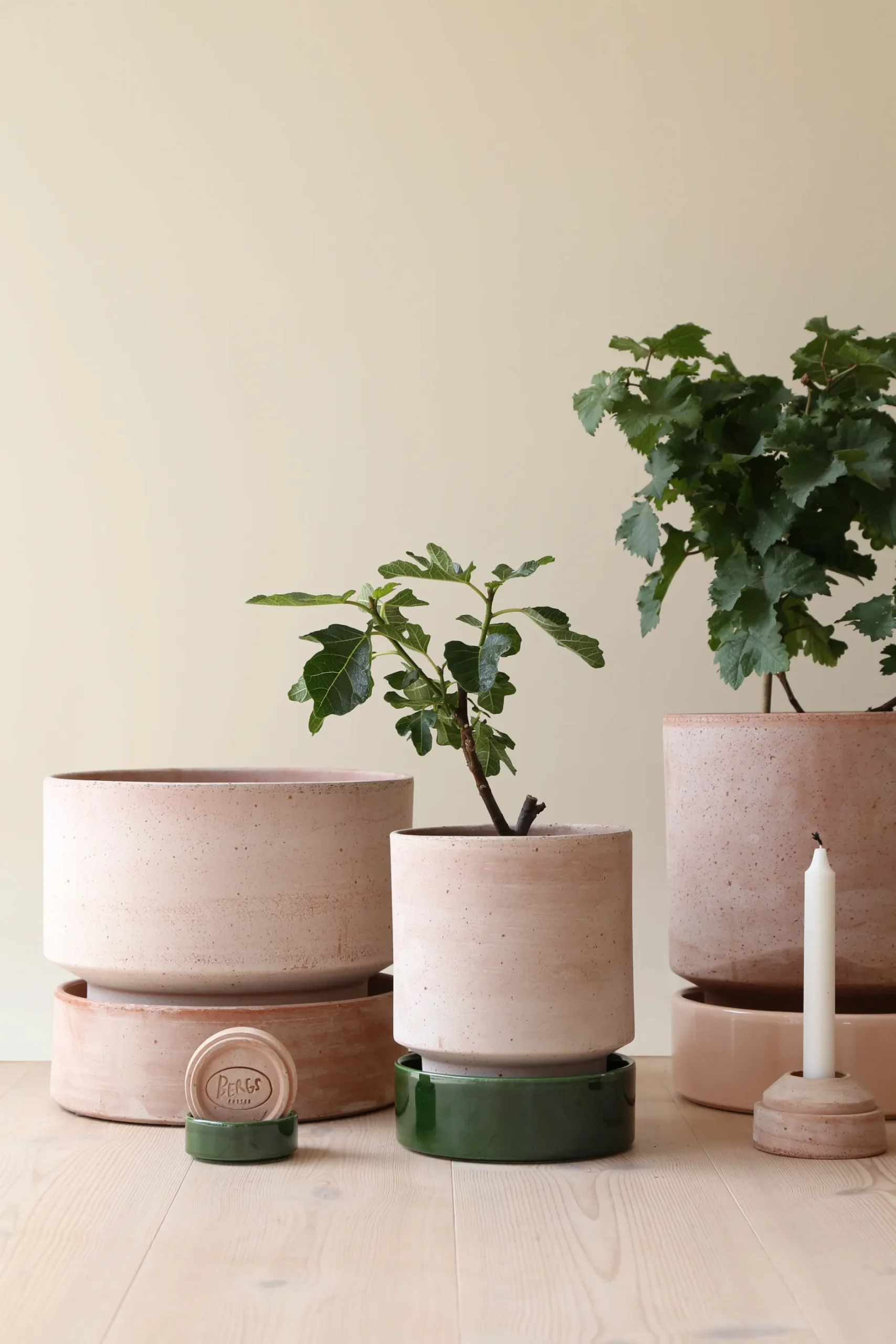 Terrakotta-Krukker|Stor^PLANT Hoff krukke, raw rosa + grøn underskål, gulvkrukke
