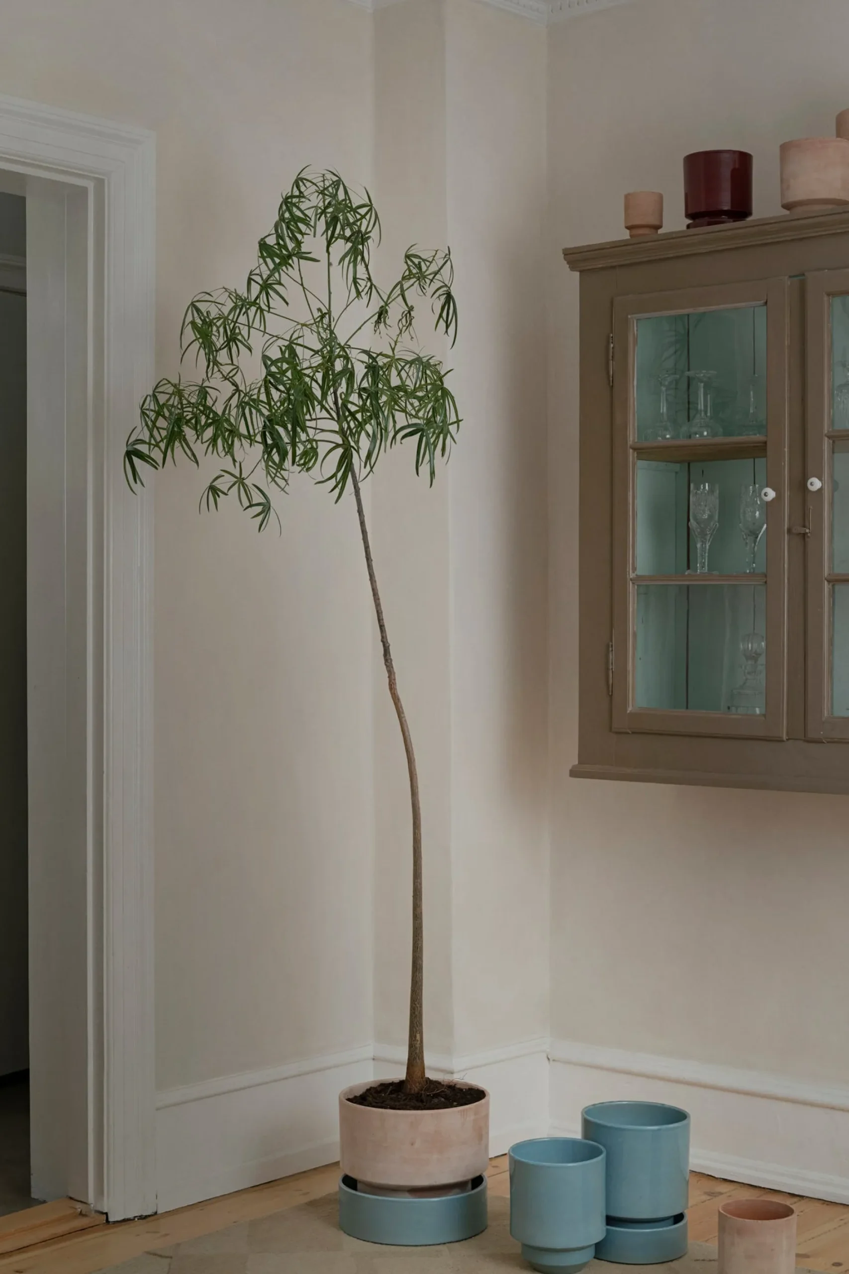 Underskåle|Hoff Krukke Serien^PLANT Hoff krukke, raw rosa + Misty Blue underskål
