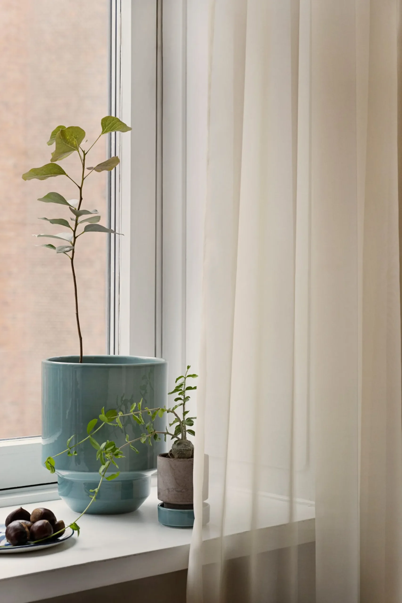 Underskåle|Hoff Krukke Serien^PLANT Hoff krukke, raw rosa + Misty Blue underskål