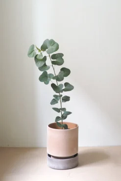 Terrakotta-Krukker|Hoff Krukke Serien^PLANT Hoff krukke, raw rosa + raw grey underskål