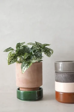 Terrakotta-Krukker|Hoff Krukke Serien^PLANT Hoff krukke, raw rosa + rosa underskål