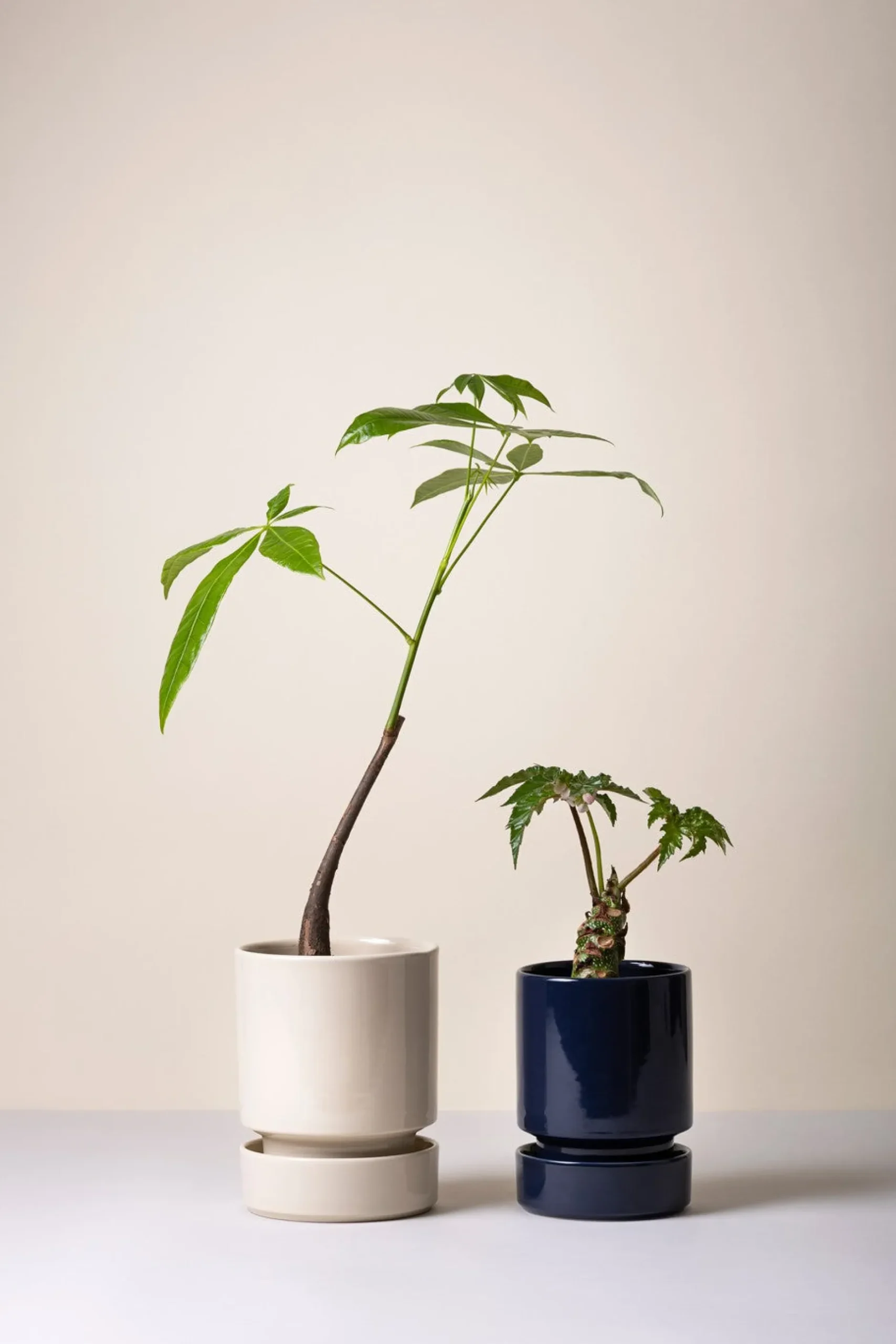 Terrakotta-Krukker|Hoff Krukke Serien^PLANT Hoff krukke, Sapphire Blue