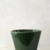 Mellem|Lille^PLANT Julie - Emerald Green