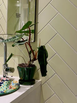 Mellem|Lille^PLANT Julie - Emerald Green