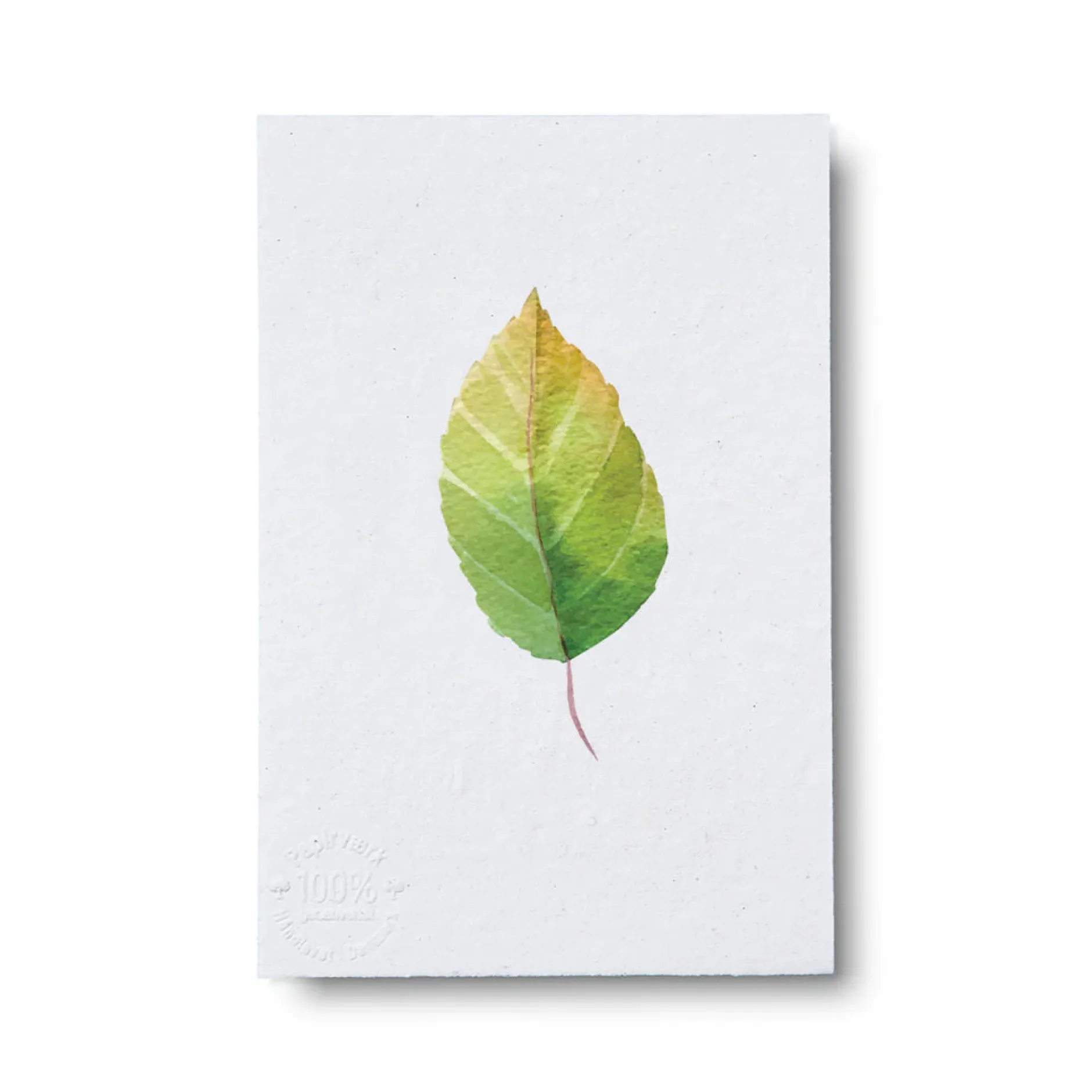 Bøger Og Kort^PLANT Kort - blad no. 3 - 100% genanvendt papir