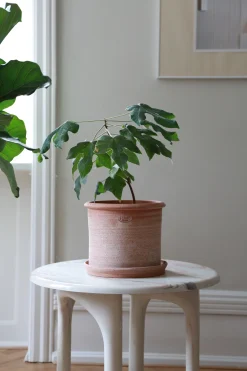 Terrakotta-Krukker|Stor^PLANT Modena gulvkrukke - raw rosa