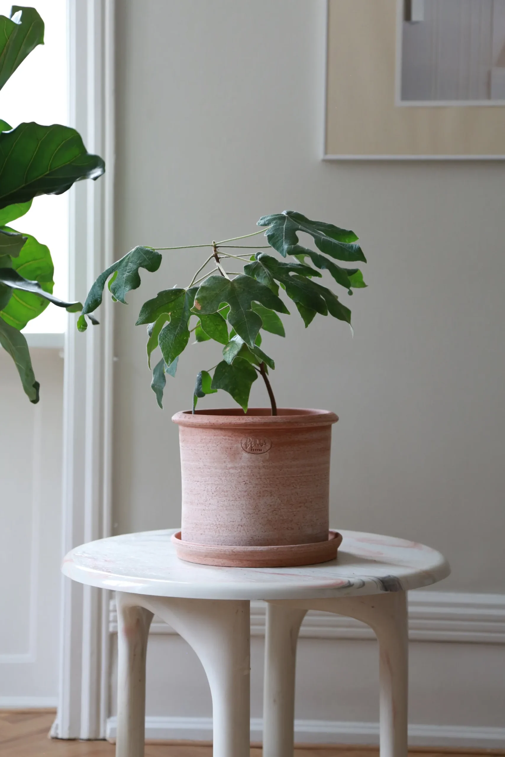 Terrakotta-Krukker|Stor^PLANT Modena gulvkrukke - raw rosa