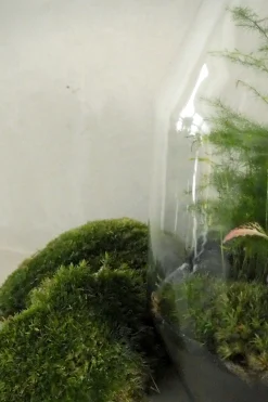 Terrarie Diy Kit|Planter Og Værktøj Til Terrarier^PLANT Mos