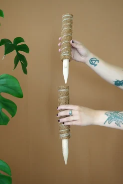 Plantestøtter^PLANT Mosstok