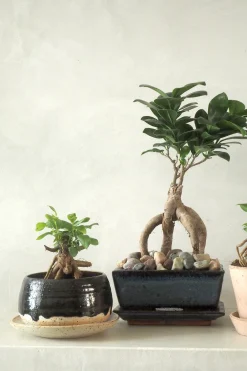Håndlavede Krukker|Glaserede Krukker^PLANT Nina Frigg medium no. 4