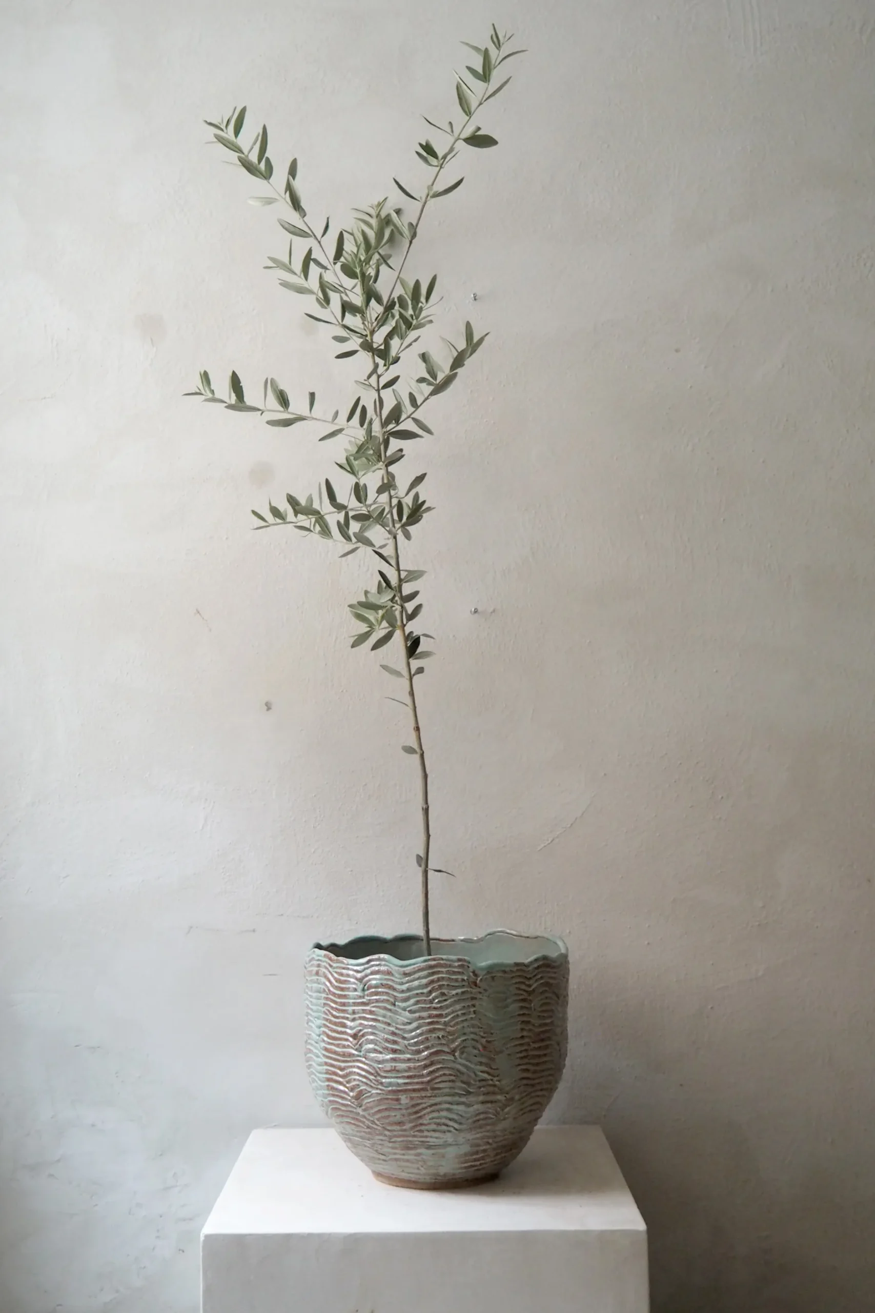 Håndlavede Krukker|Stor^PLANT StineMei - Wood blue