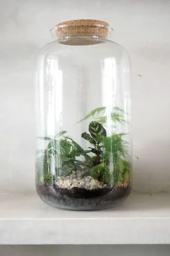 Planter Og Værktøj Til Terrarier|Håndskabte Terrarier^PLANT Terrarie no. 11
