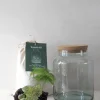 Planter Og Værktøj Til Terrarier|Terrarie Diy Kit^PLANT Terrariekit m. glas