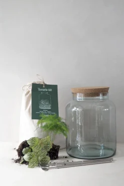 Planter Og Værktøj Til Terrarier|Terrarie Diy Kit^PLANT Terrariekit m. glas
