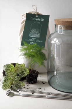 Planter Og Værktøj Til Terrarier|Terrarie Diy Kit^PLANT Terrariekit m. glas