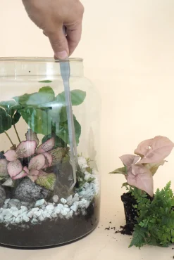 Planter Og Værktøj Til Terrarier|Planter Og Værktøj Til Terrarier^PLANT Terrariepincet