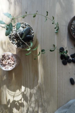 Topping Sten|Jord Og Omplantning^PLANT Topping sten - Rosa