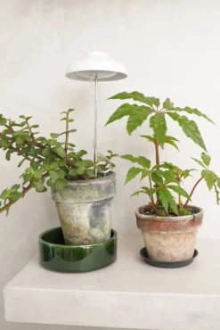 Plantelys Og Vækstlys^PLANT Vækstlampe, LED