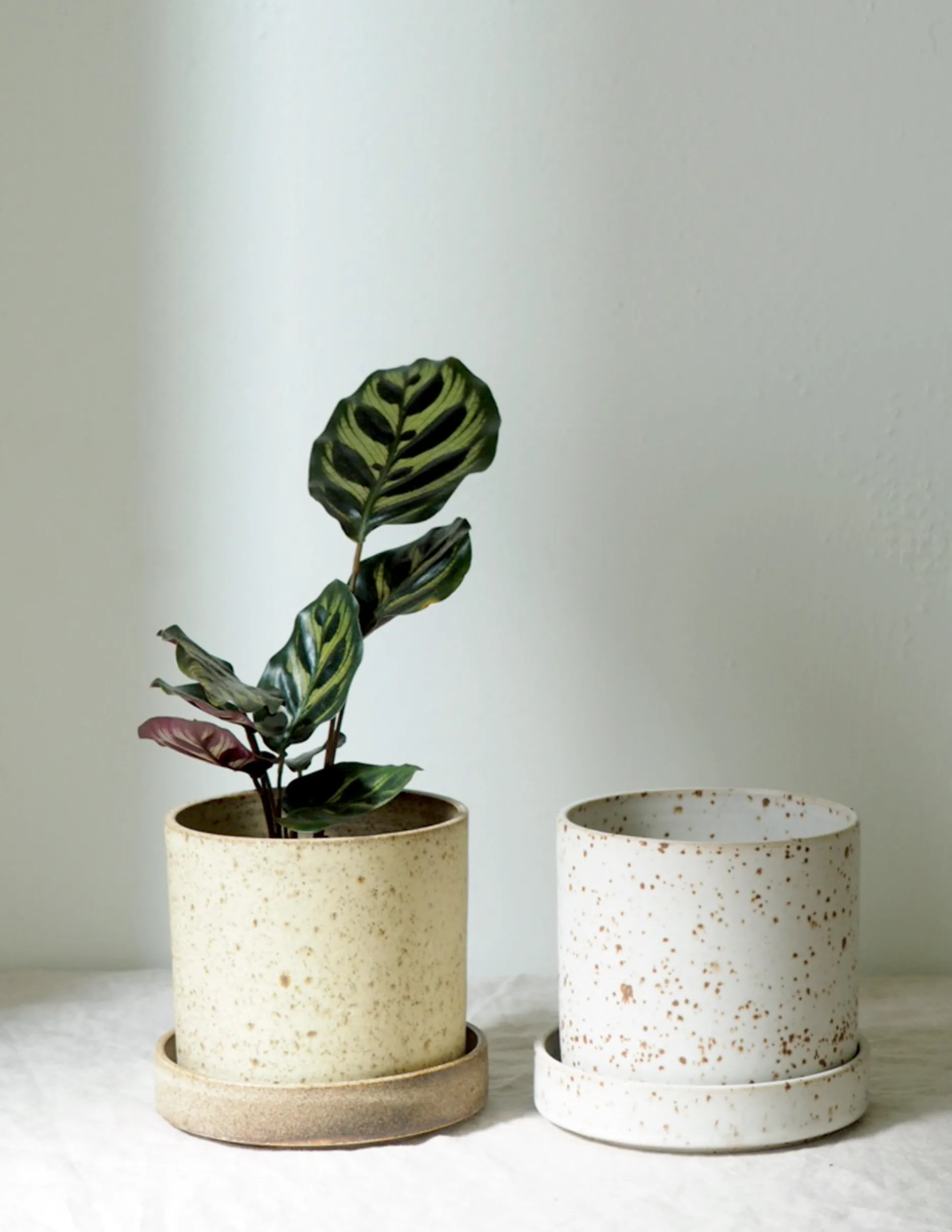 Håndlavede Krukker|Glaserede Krukker^PLANT V.O krukke - hvid, small